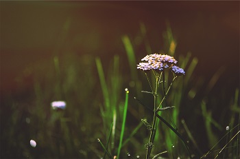 Schön und gesund in den Frühling Ratgeber Bild mittig-oben 