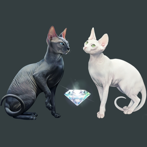 Luxury 💎 Shadows - Sphynx Luxury 💎 Shadows - Sphynx
