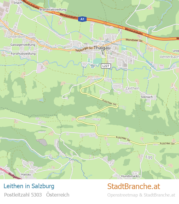 Leithen Stadtplan Salzburg